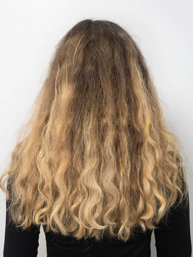 Rückansicht: lange, lockige Balayage-Haare in Braun und Blond auf weißem Hintergrund